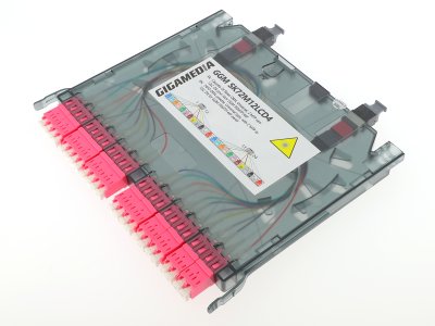 Fiberkassett 24 fiber OM4 2xMPT